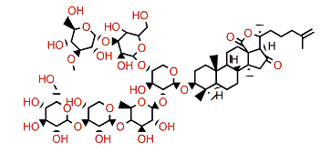 Cladoloside P2